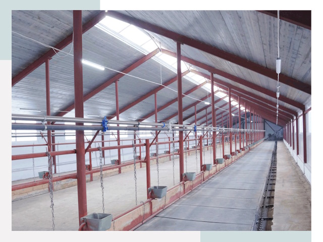 Строительство коровников в Ростове-на-Доне от 626 руб.