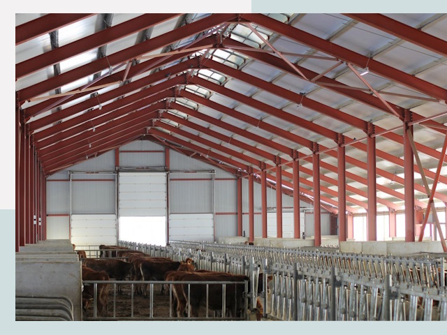 Строительство коровников в Ростове-на-Доне