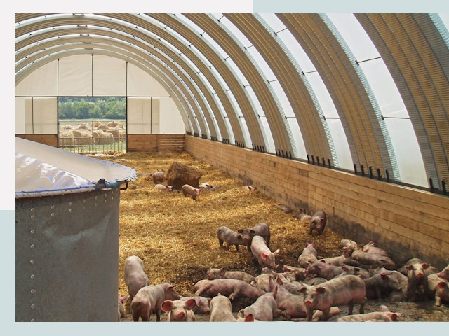 Строительство свинарников в Ростове-на-Доне