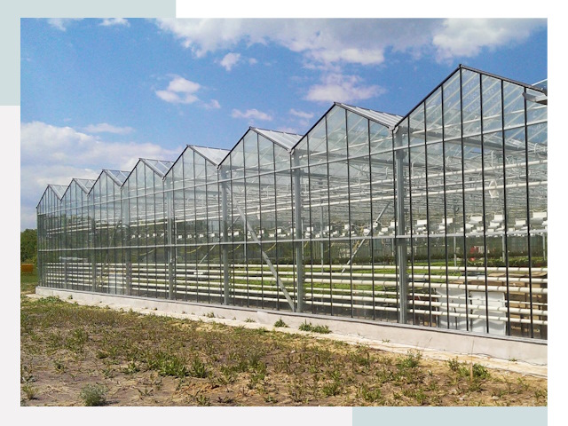 Строительство теплиц в Ростов-на-Дону от 626 руб. за м²